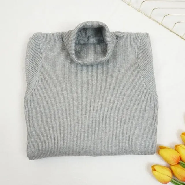 Wjczt New Autumn Winter Women Knitted Dress Turtleneck Sweater Dresses Lady Slim Bodycon Long Sleeve Bottoming Dress Vestidos PP003